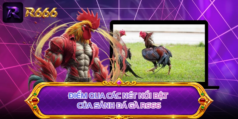 Điểm qua các nét nổi bật của sảnh đá gà R666
