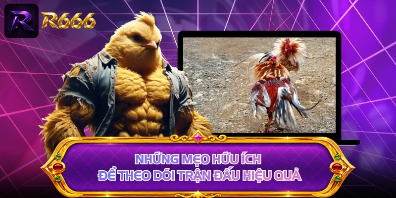 Những mẹo hữu ích để theo dõi trận đấu hiệu quả
